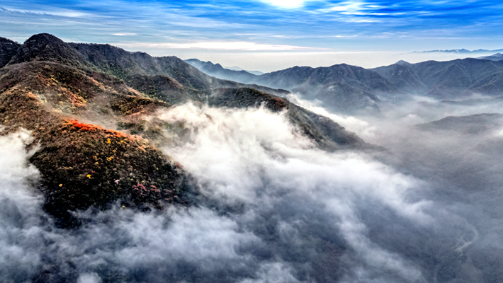 诗意天中 | 登山赏花观云，赏春光无限...