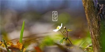 春分至，阴阳平：专家建议“吃芽”助生发，“微汗”养肝血