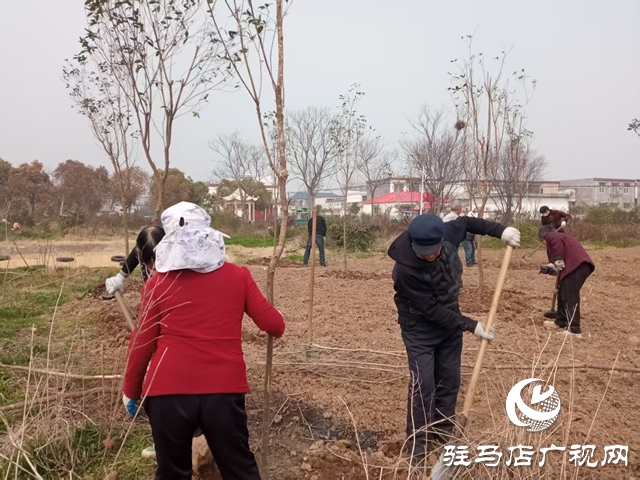  西平县柏城街道：以行动践行雷锋精神，共筑城市文明新篇
