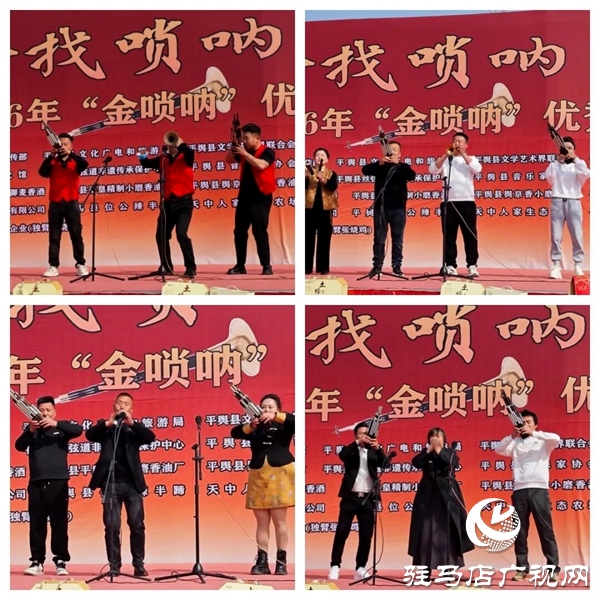 寻找唢呐王|平舆县2026年\
