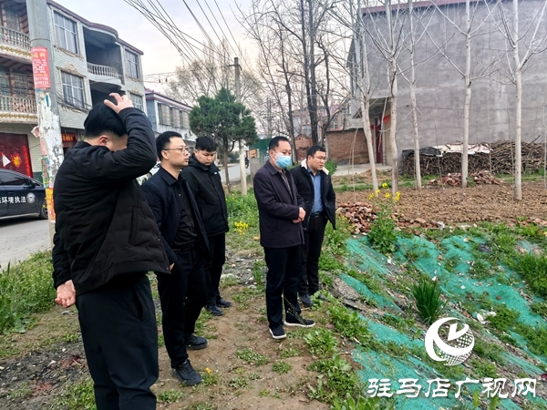 平舆县环保局赴万金店镇指导黑臭水体治理 绘就乡村生态宜居新画卷