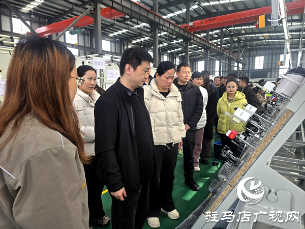 平舆县玉皇庙乡：取经先进促提升 比学赶超建“三园”