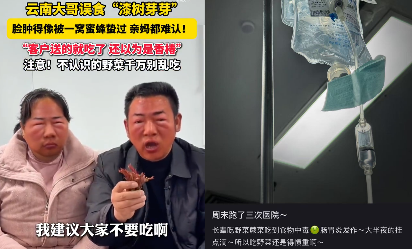 春菜尝“鲜”正当时 这样吃美味又健康