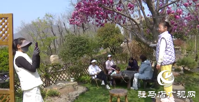 驿城区：春日&ldquo;乡野&rdquo;成热土 文旅融合绘新景