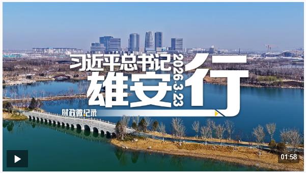 时政微纪录丨习近平总书记雄安行