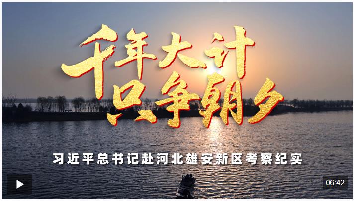 时政微纪录丨千年大计 只争朝夕——习近平总书记赴河北雄安新区考察纪实