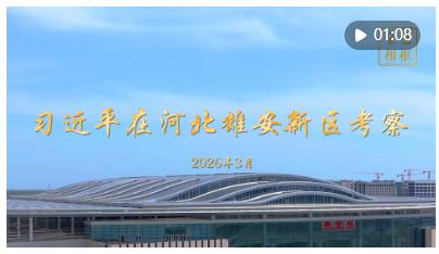 金色相框｜习近平在河北雄安新区考察