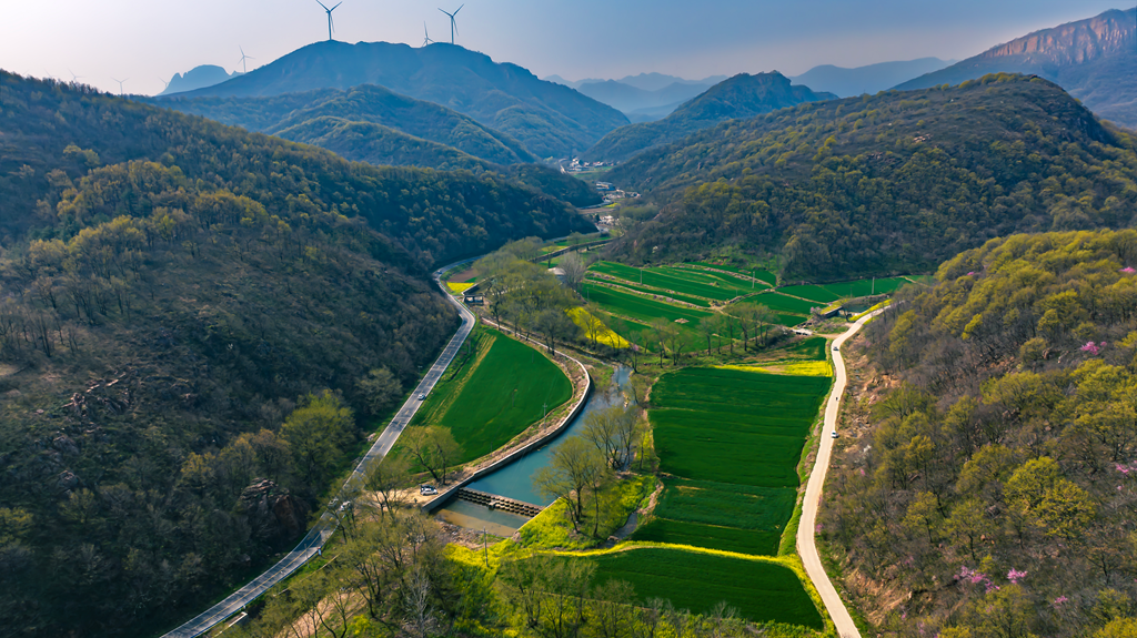 县区动态 | 绿染层峦 花漫春山