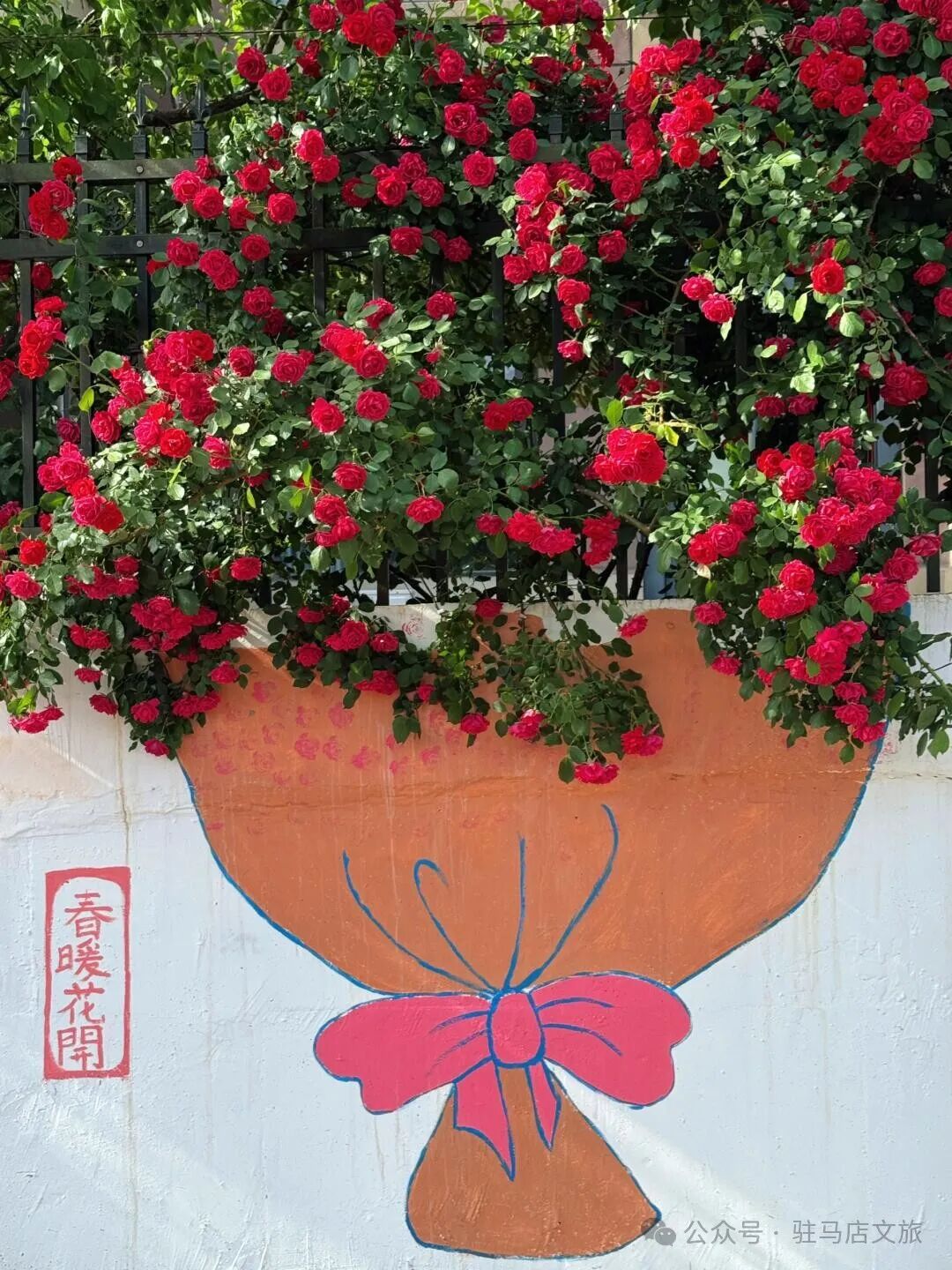 “十二花神”临天中，共赴花期君莫误——驻马店这些地方花开成海