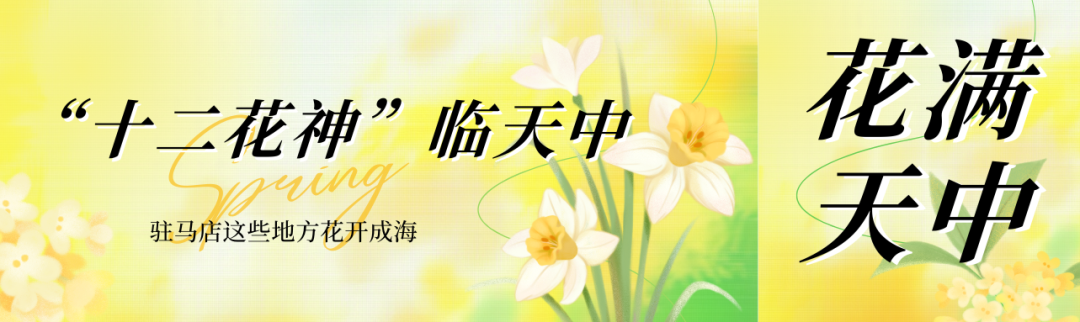 “十二花神”临天中，共赴花期君莫误——驻马店这些地方花开成海
