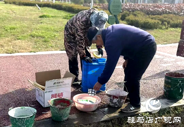 确山：护好城市一片绿