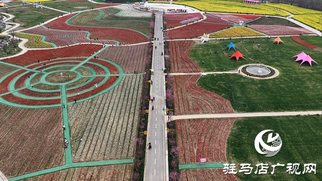 百万株郁金香绽放嵖岈山 &ldquo;美丽经济&rdquo;赋能乡村振兴