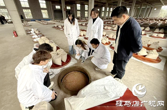 黄淮学院：春日实践正当时 多维育人助成长