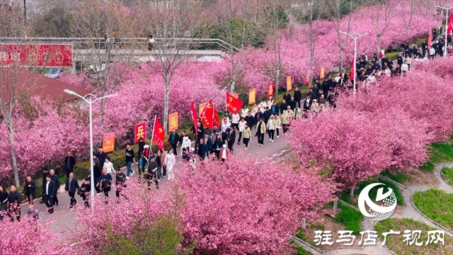  西平县举行2026年全民健身健步走活动
