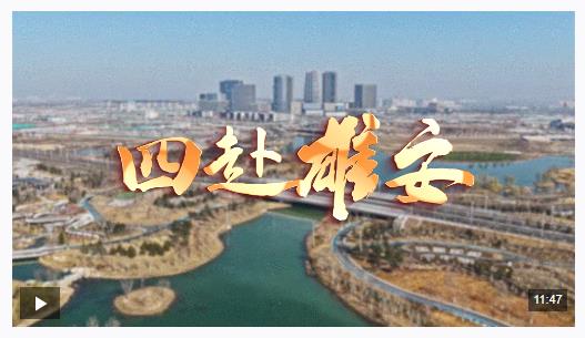 时政专题片丨四赴雄安