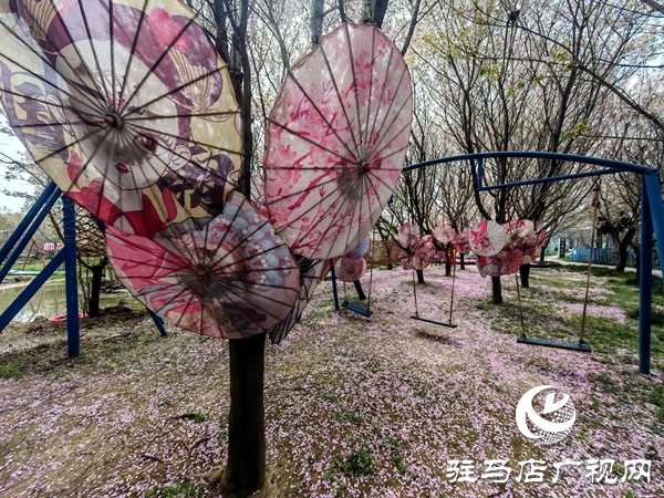 赴樱约赏芳华 平舆蓝天·芝麻小镇樱花节将于3月28日浪漫启幕