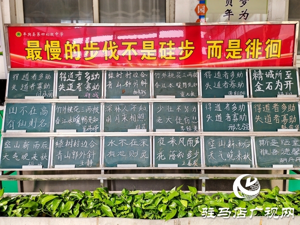 以书为炬点亮阡陌 书香浸润少年成长——平舆四中教师杨秀珍创新阅读推广纪实