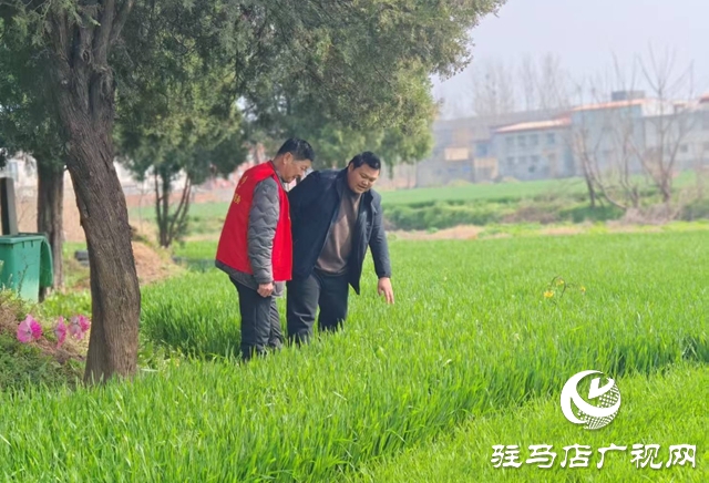  西平县柏城街道：多措并举织密禁毒“防护网”