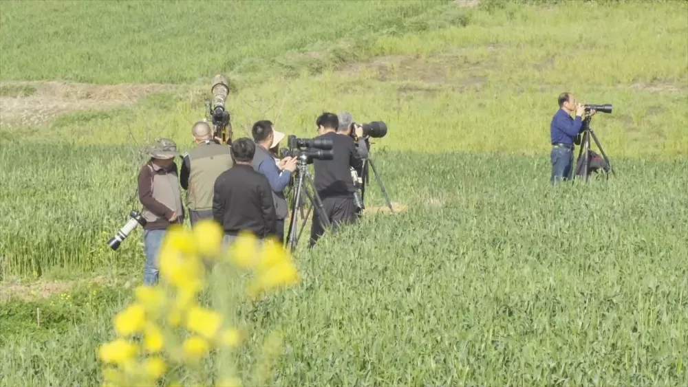 春潮涌动消费旺 多元业态释放新活力