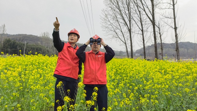 国网泌阳县供电公司：供电服务到地头 春耕用电有保障