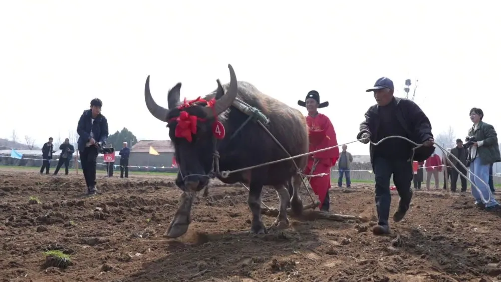 春潮涌动消费旺 多元业态释放新活力