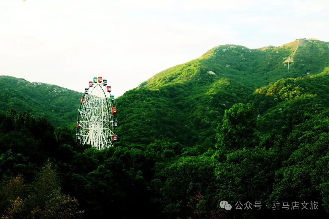 在驻马店，来一场春日“Color Walk”！用脚步收集天中的烂漫春色