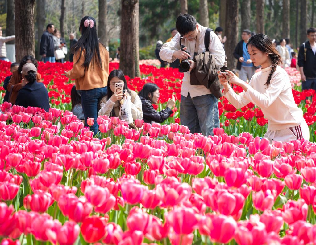 马力全开！春日消费“花开”多地