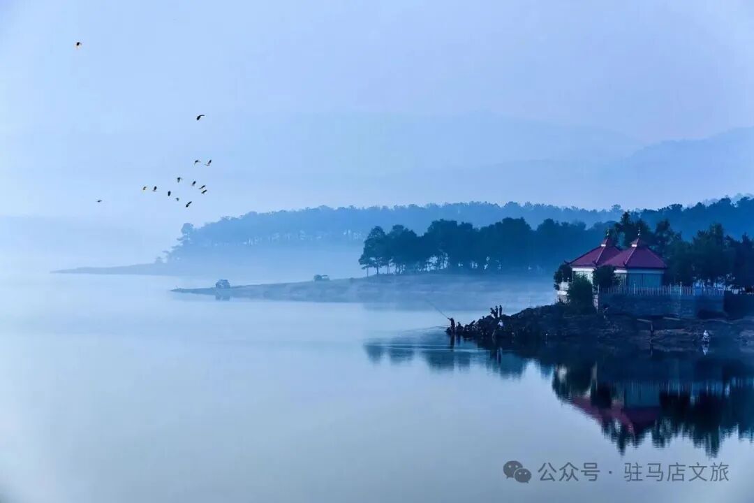 在驻马店，来一场春日“Color Walk”！用脚步收集天中的烂漫春色