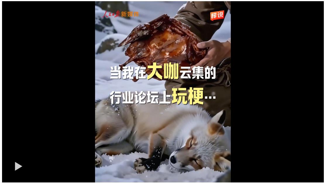当我在大咖云集的行业论坛上“玩梗”