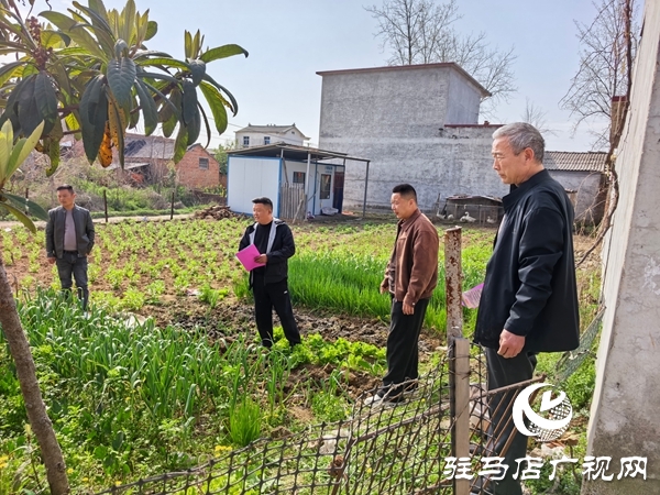 平舆县庙湾镇：严查严防零容忍 织密禁种铲毒“防护网”