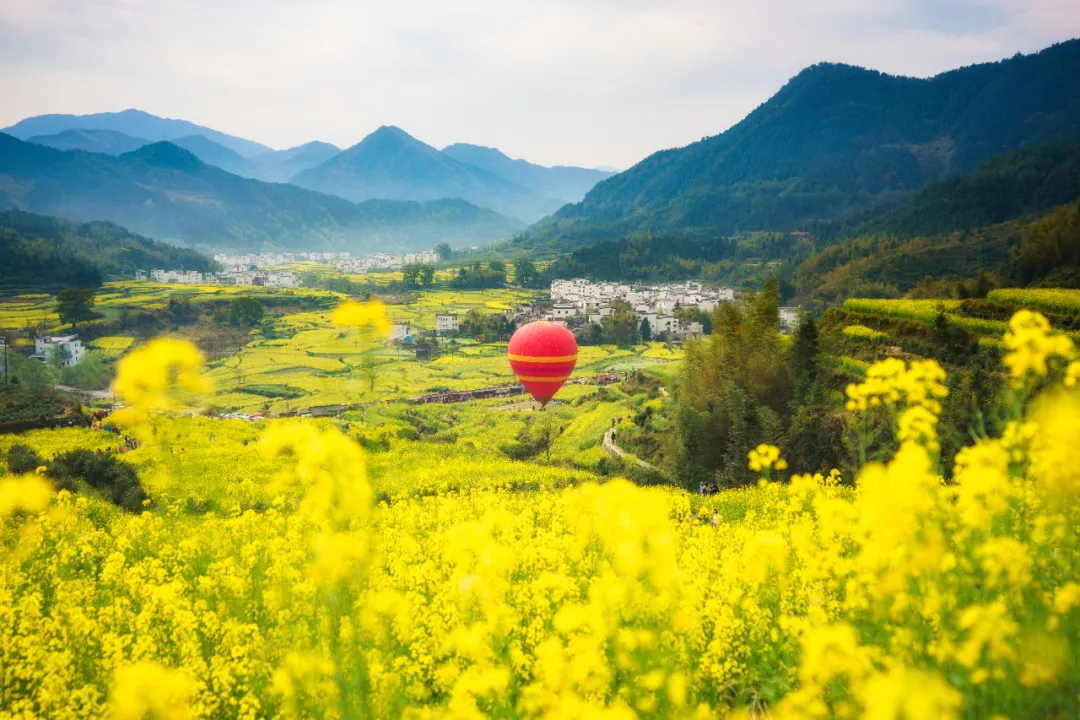 各地春假文旅“大礼包”来了！