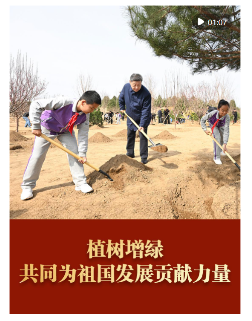 和总书记面对面｜植树增绿 共同为祖国发展贡献力量