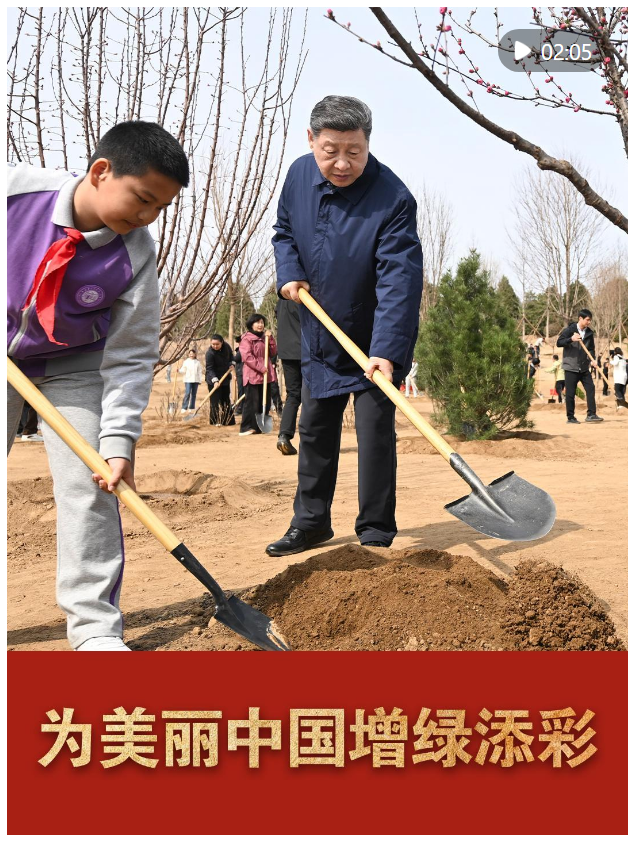 微视频｜为美丽中国增绿添彩