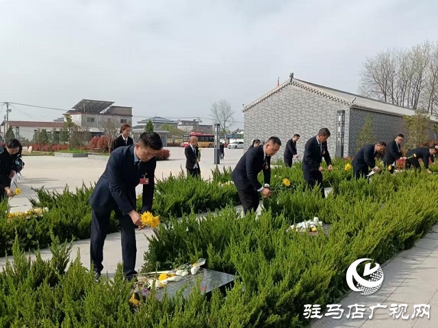新蔡县公交公司：清明祭英烈  赓续红色血脉