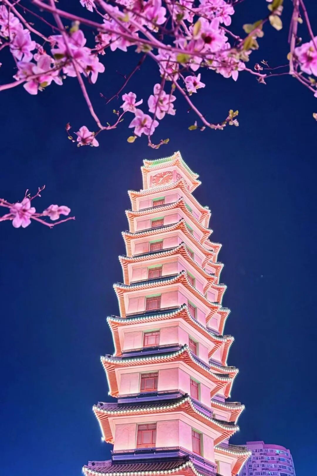春风沉醉的傍晚，到河南城巷里遛个弯儿