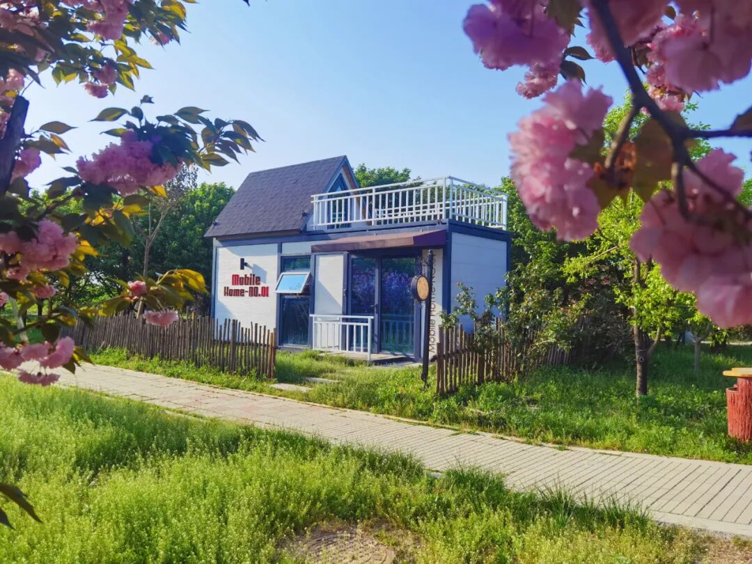 清明风暖，春满天中 | 一份专属驻马店的清明文旅惠游清单