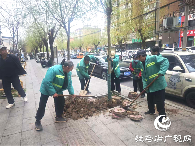  开发区城市管理事务中心下足“精、细、实”功夫绘就城市新画卷