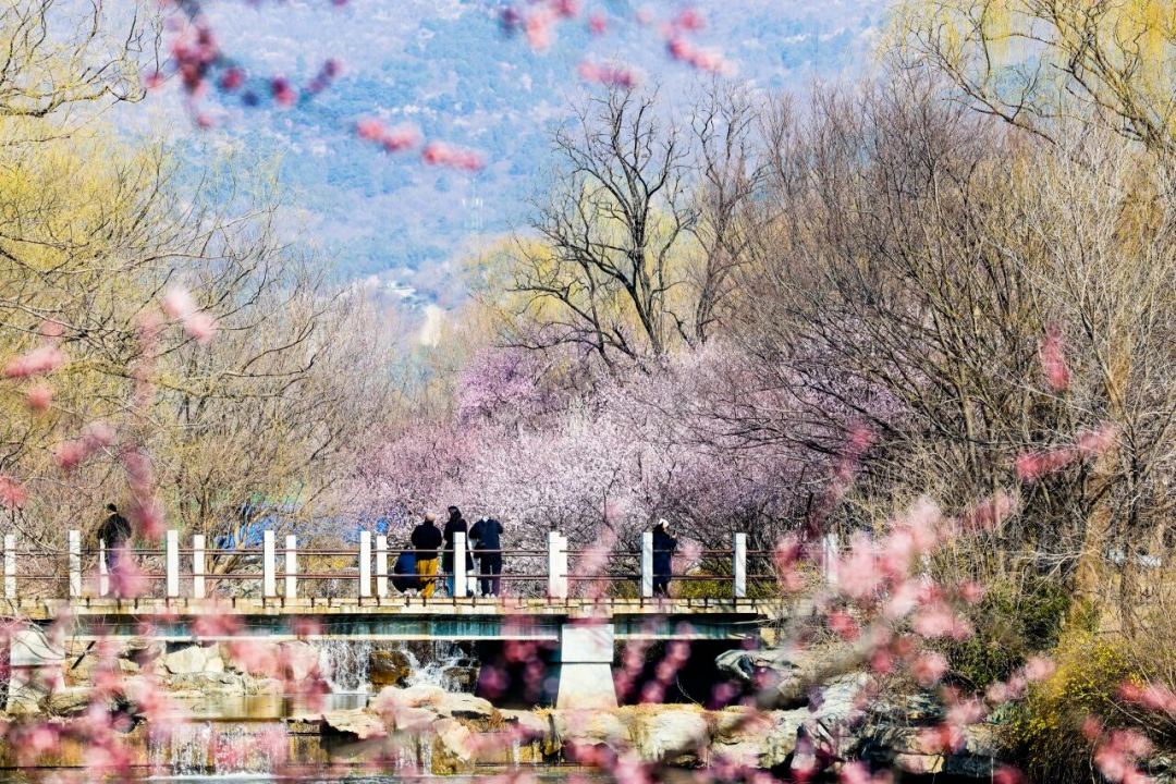 来一场Colorwalk，做一天“色彩旅人”