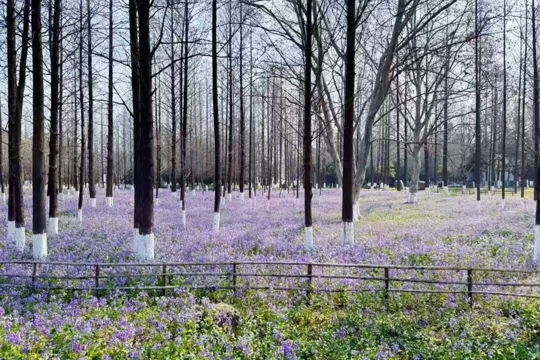 来一场Colorwalk，做一天“色彩旅人”