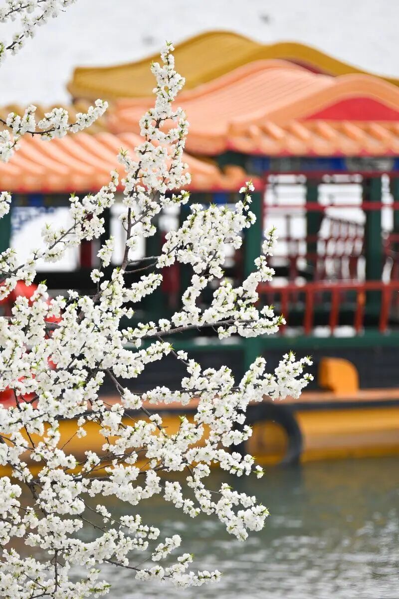 来一场Colorwalk，做一天“色彩旅人”