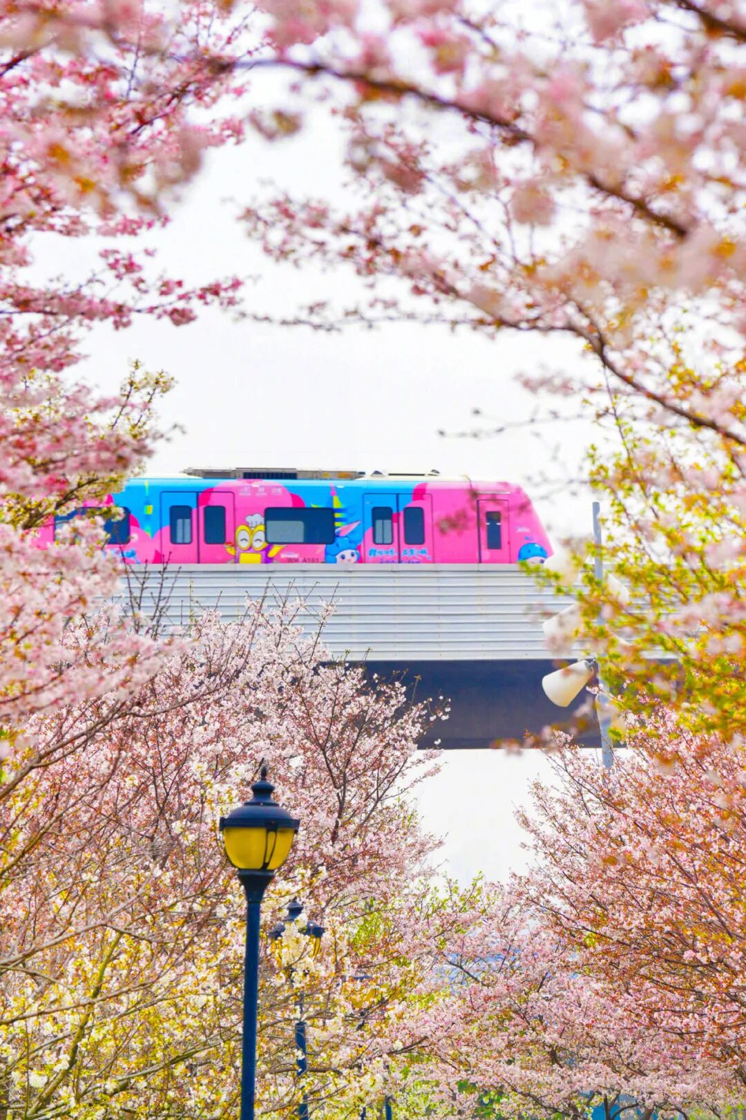 来一场Colorwalk，做一天“色彩旅人”