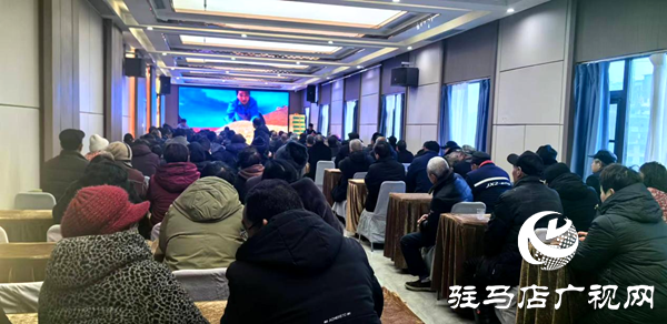 平舆特聘农技员一线“把脉”麦田 科技护航夏粮丰收