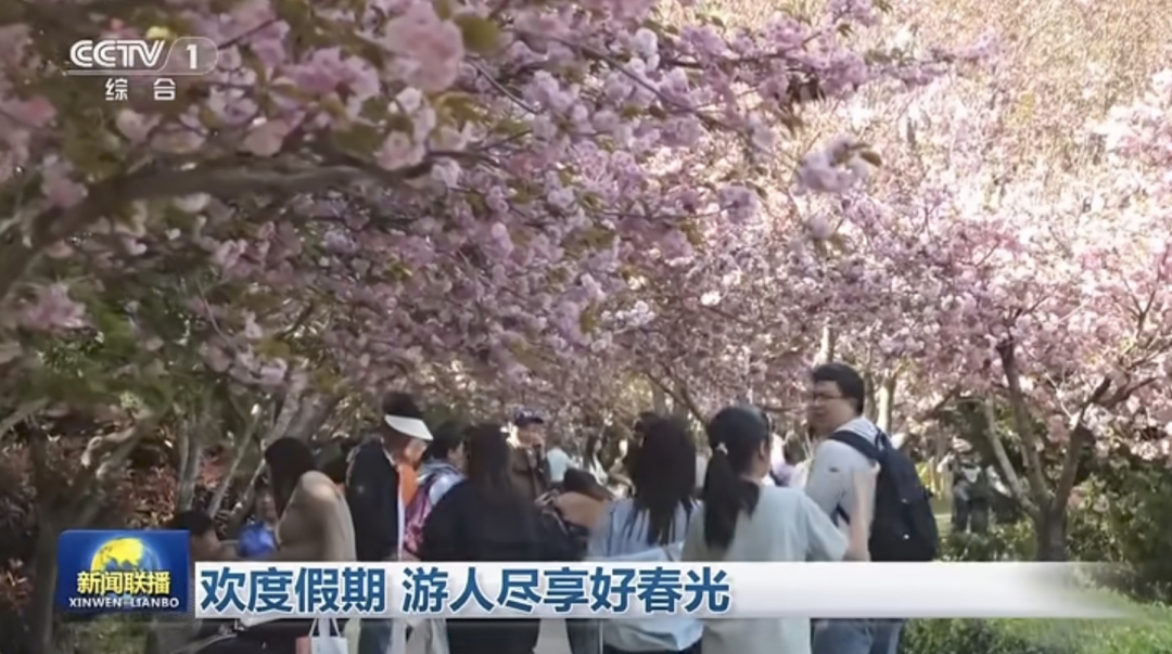 聚焦16次！跟着央视春游河南