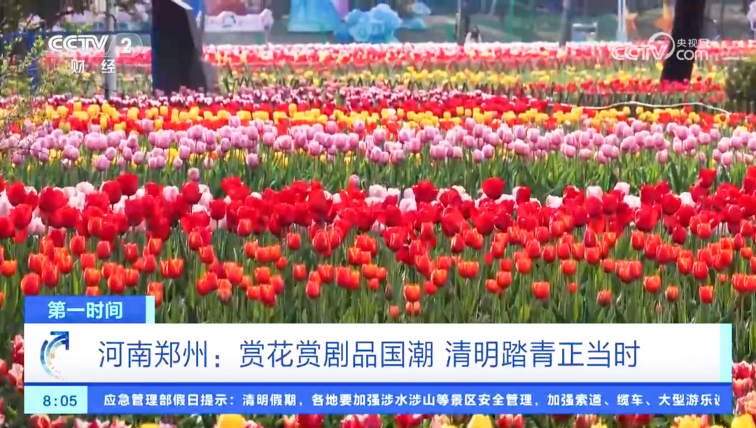 聚焦16次！跟着央视春游河南