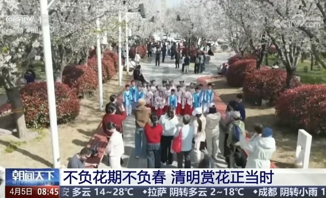聚焦16次！跟着央视春游河南