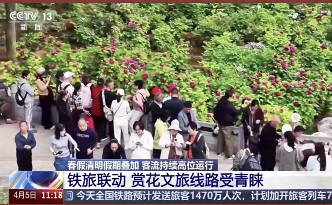 聚焦16次！跟着央视春游河南