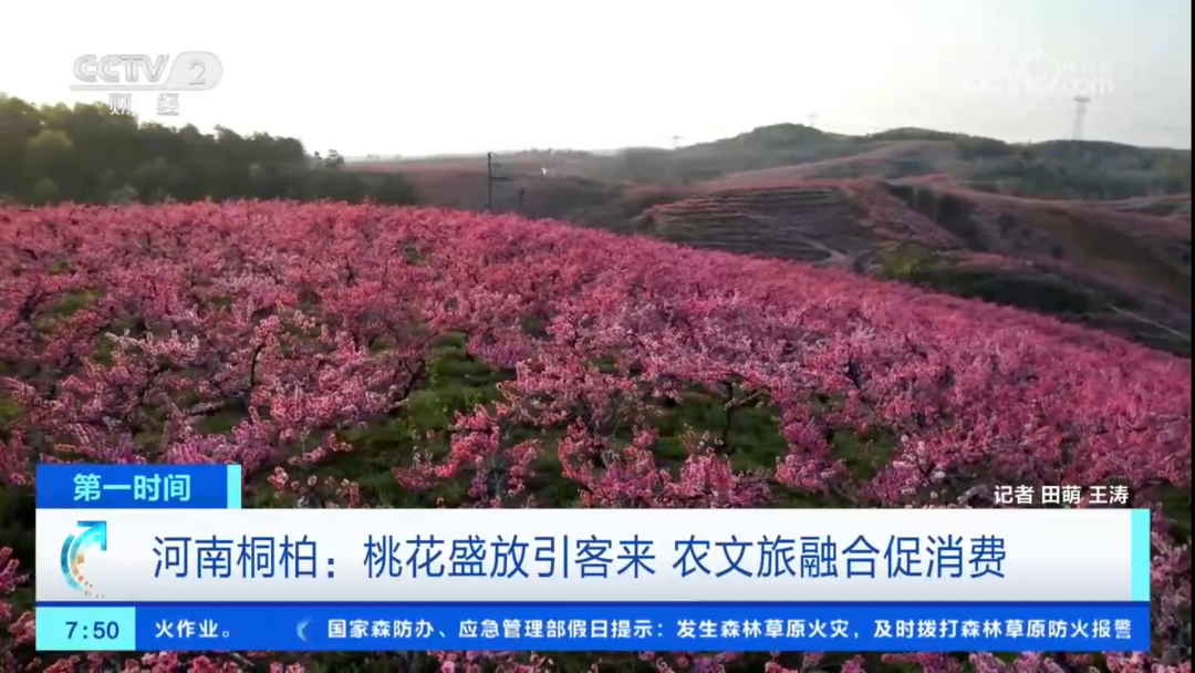 聚焦16次！跟着央视春游河南