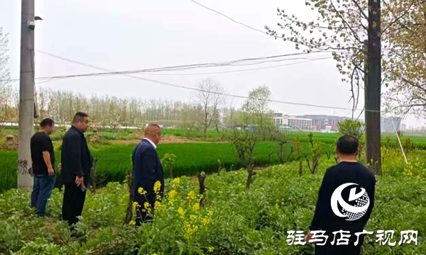 平舆县东皇街道：清明时节踏查忙 筑牢禁毒防护网