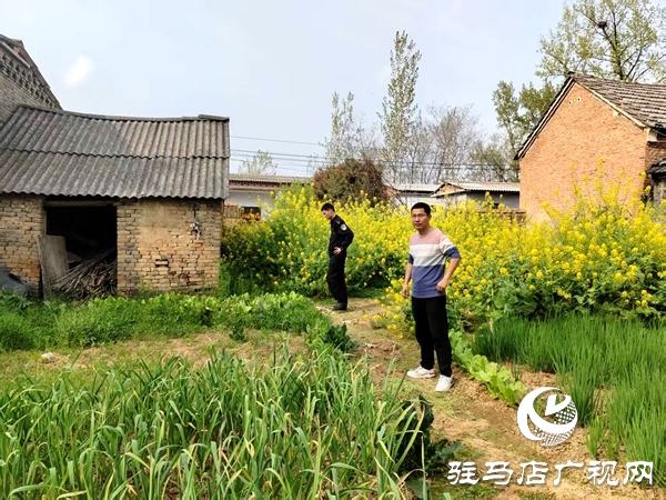 平舆县射桥镇：铲除毒患净土 守护家园安宁