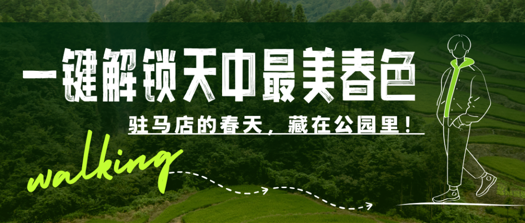 驻马店的春天，藏在公园里！一键解锁天中最美春色